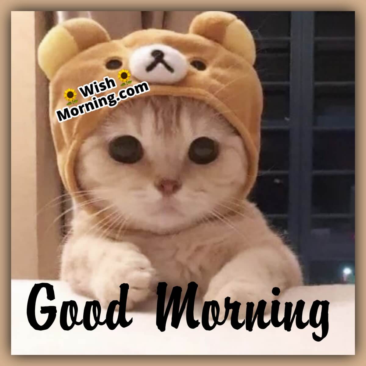 Good Morning Cat Wish
