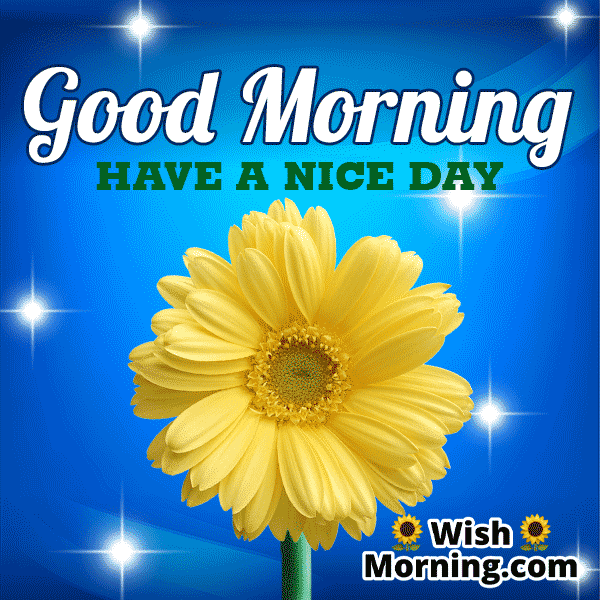 Good Morning Flower Gif Image