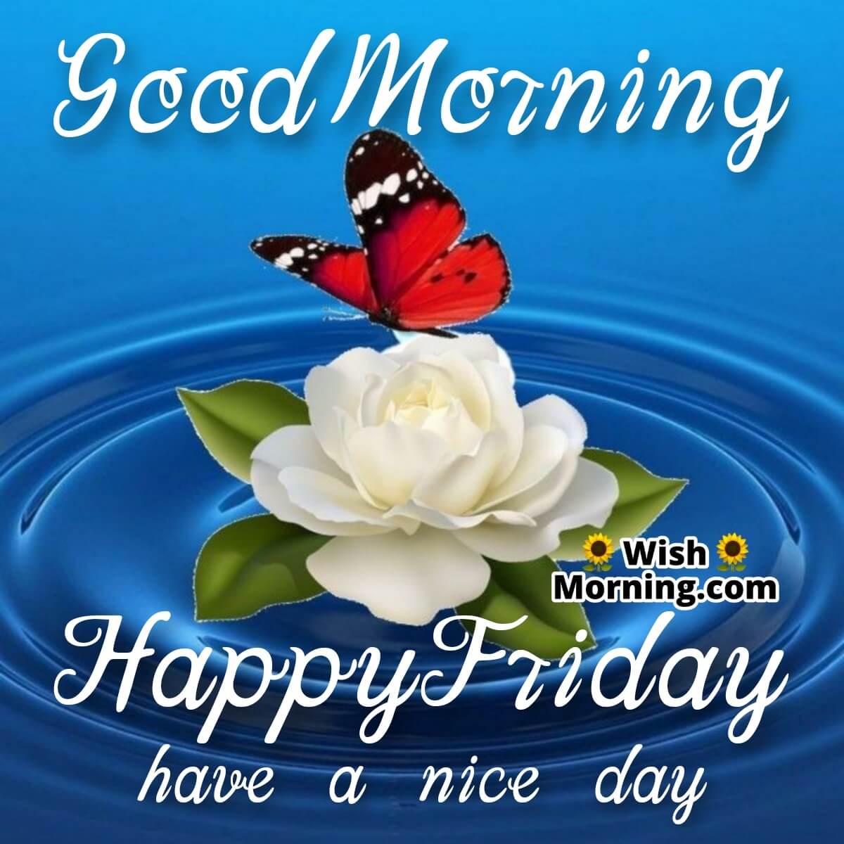 Good Morning Happy Friday Have A Nice Day