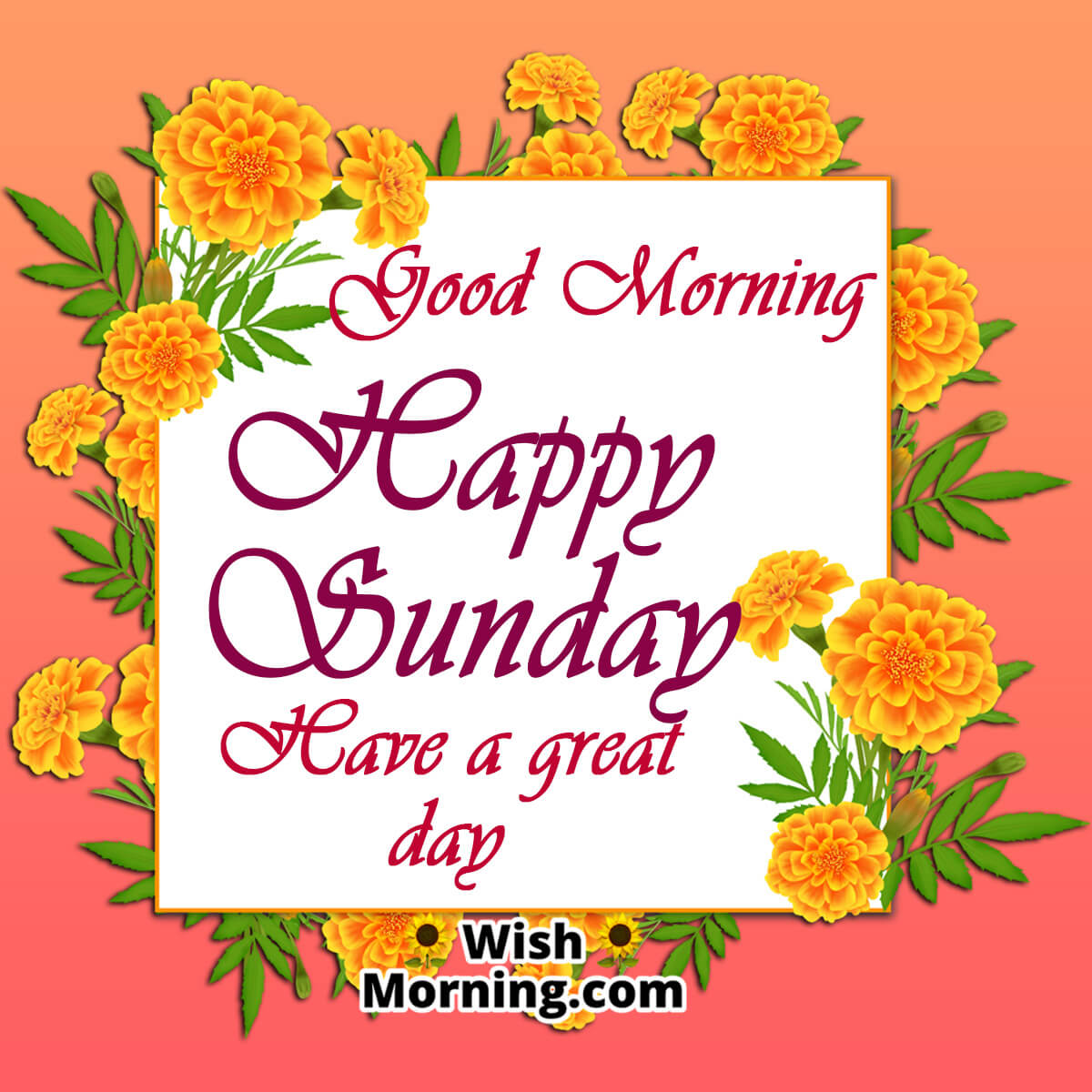 Good Morning Happy Sunday Have A Great Day