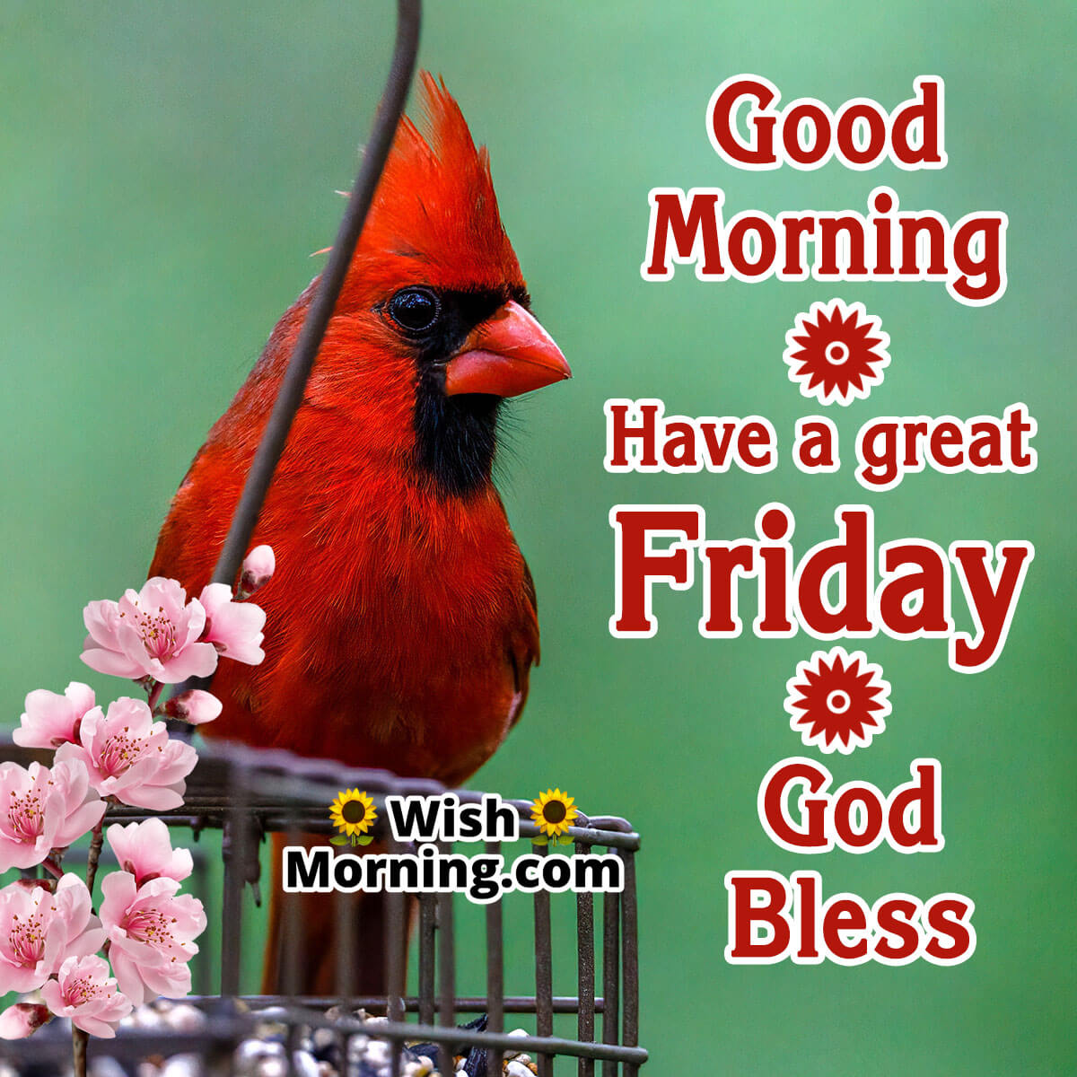 Good Morning Have A Great Friday God Bless