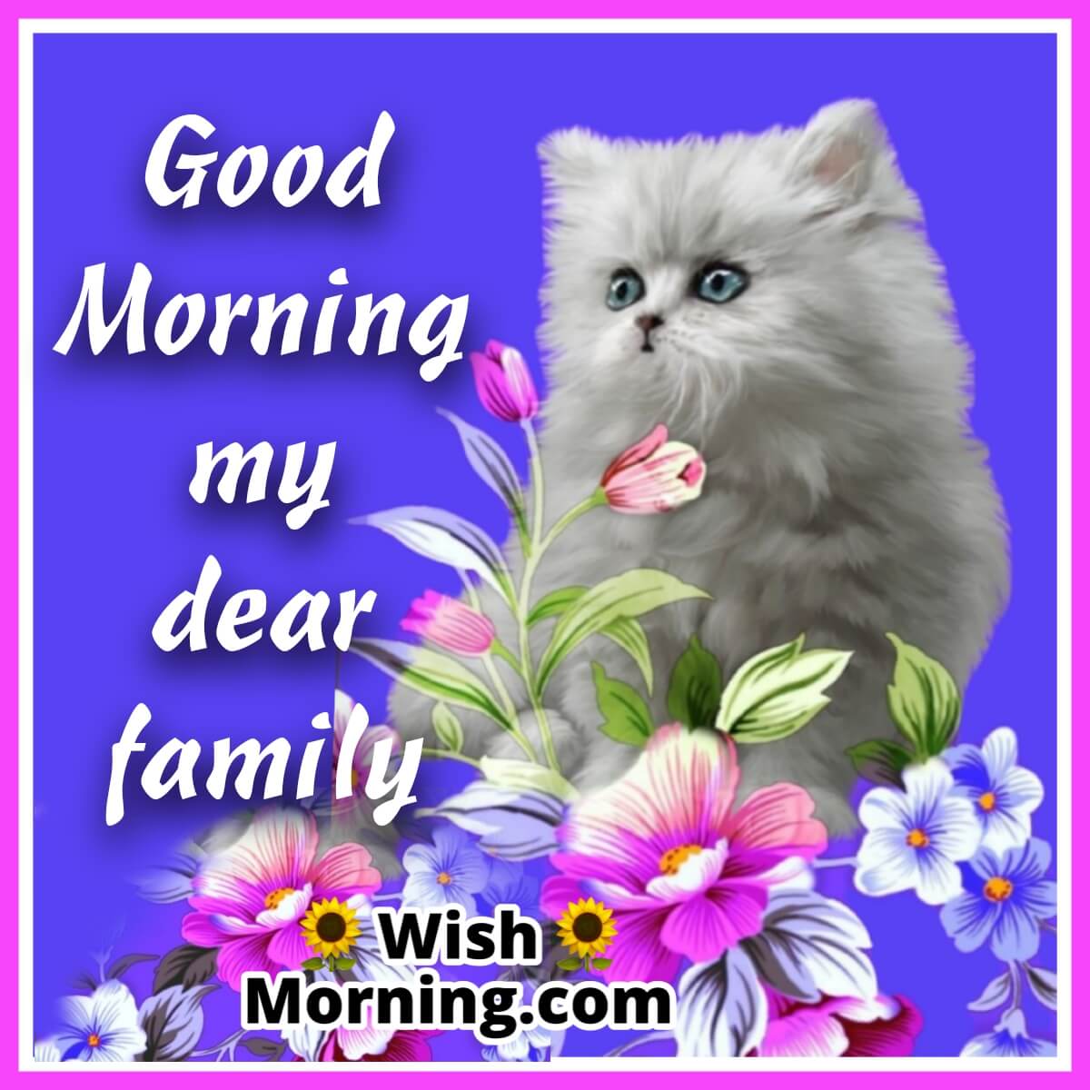 Good Morning Kitten Card