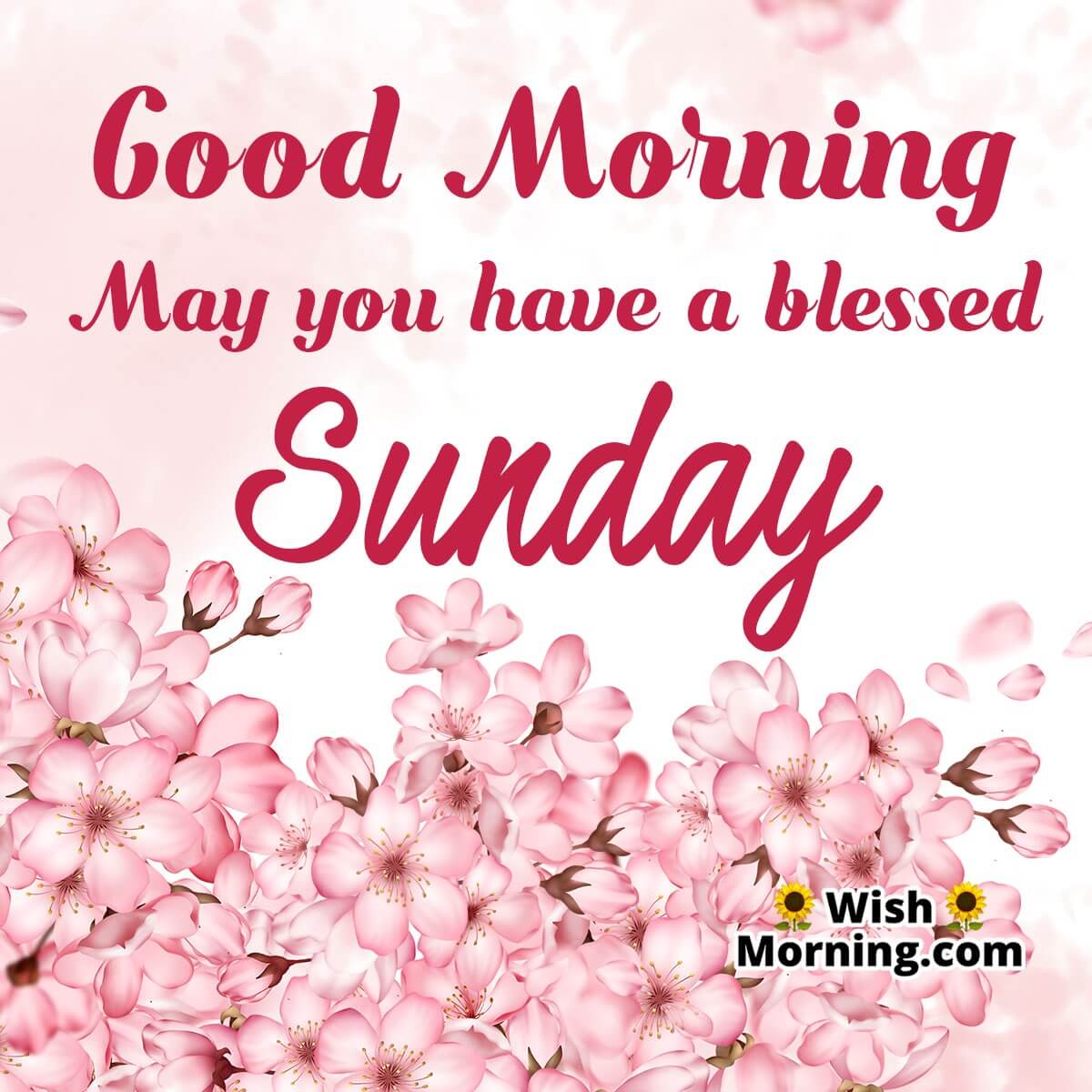 Good Morning May You Have A Blessed Sunday