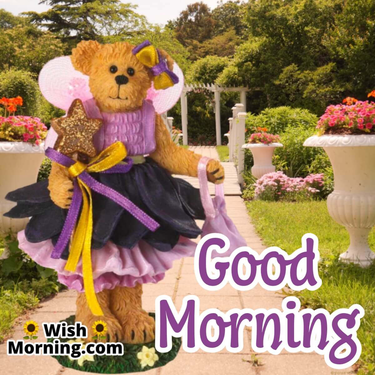 Good Morning Teddy Images