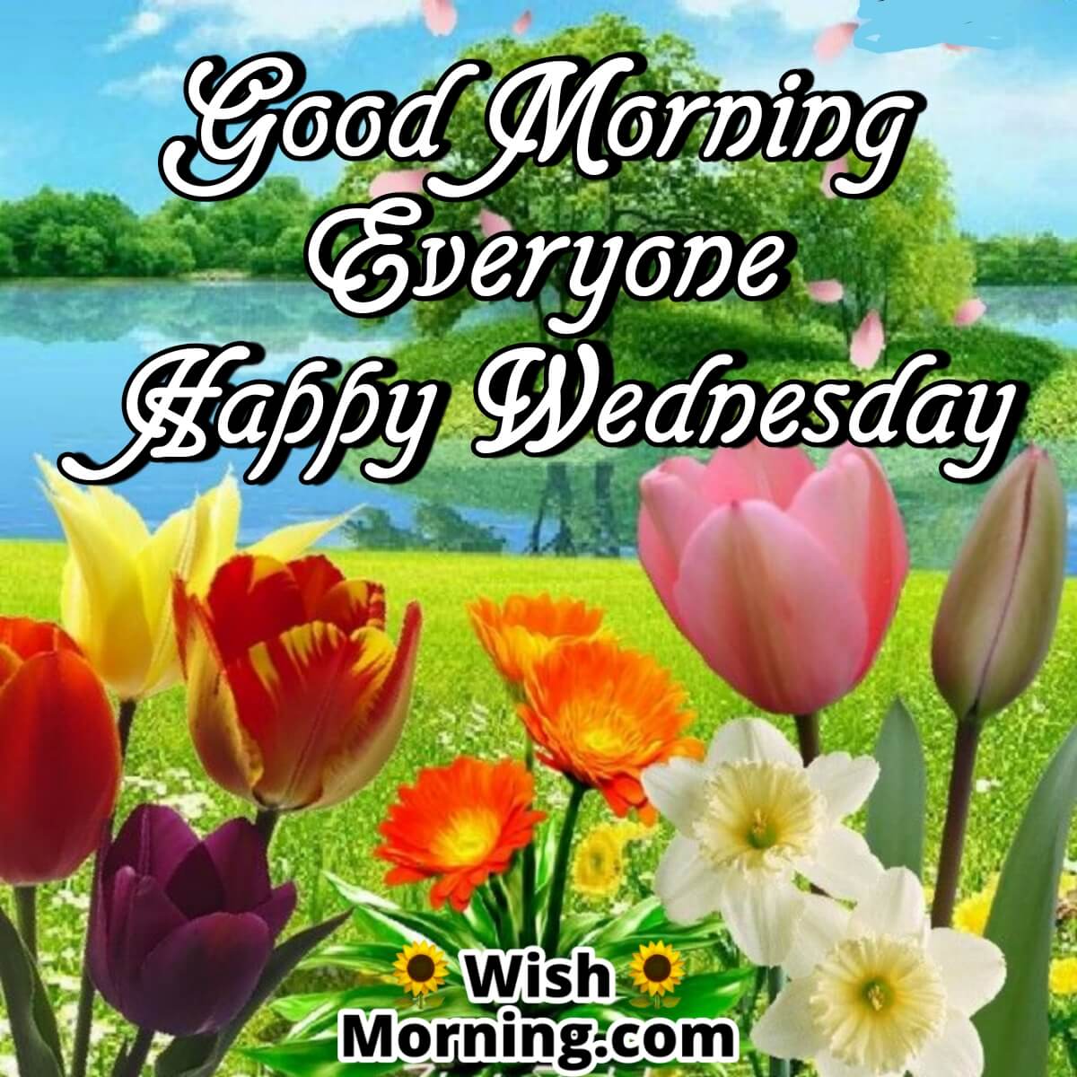Wednesday Morning Wishes - Wish Morning