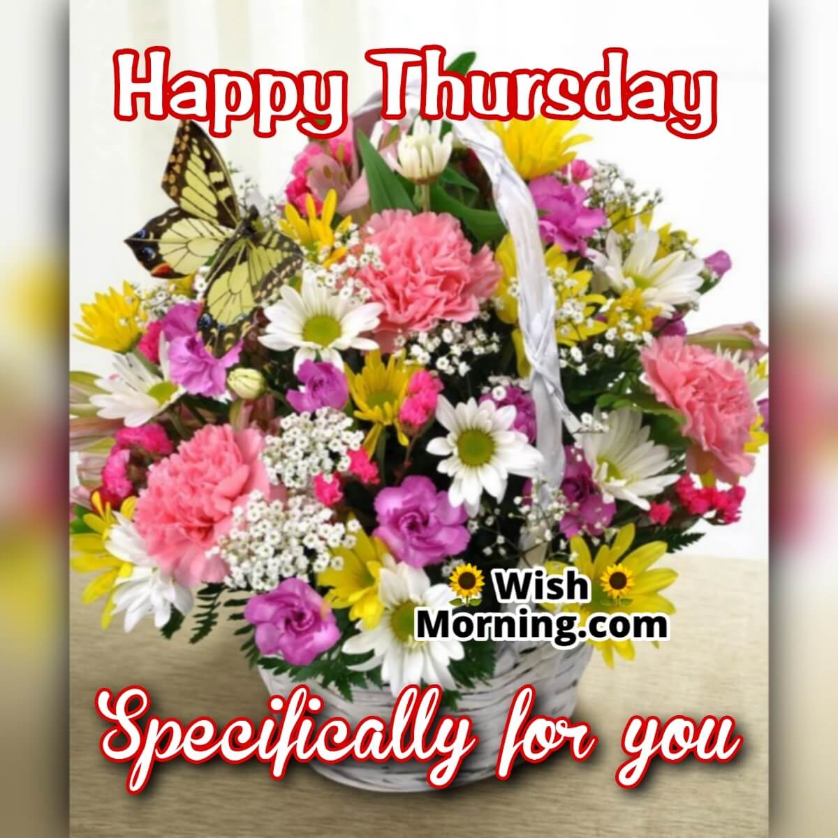 Happy Thursday Specially For You