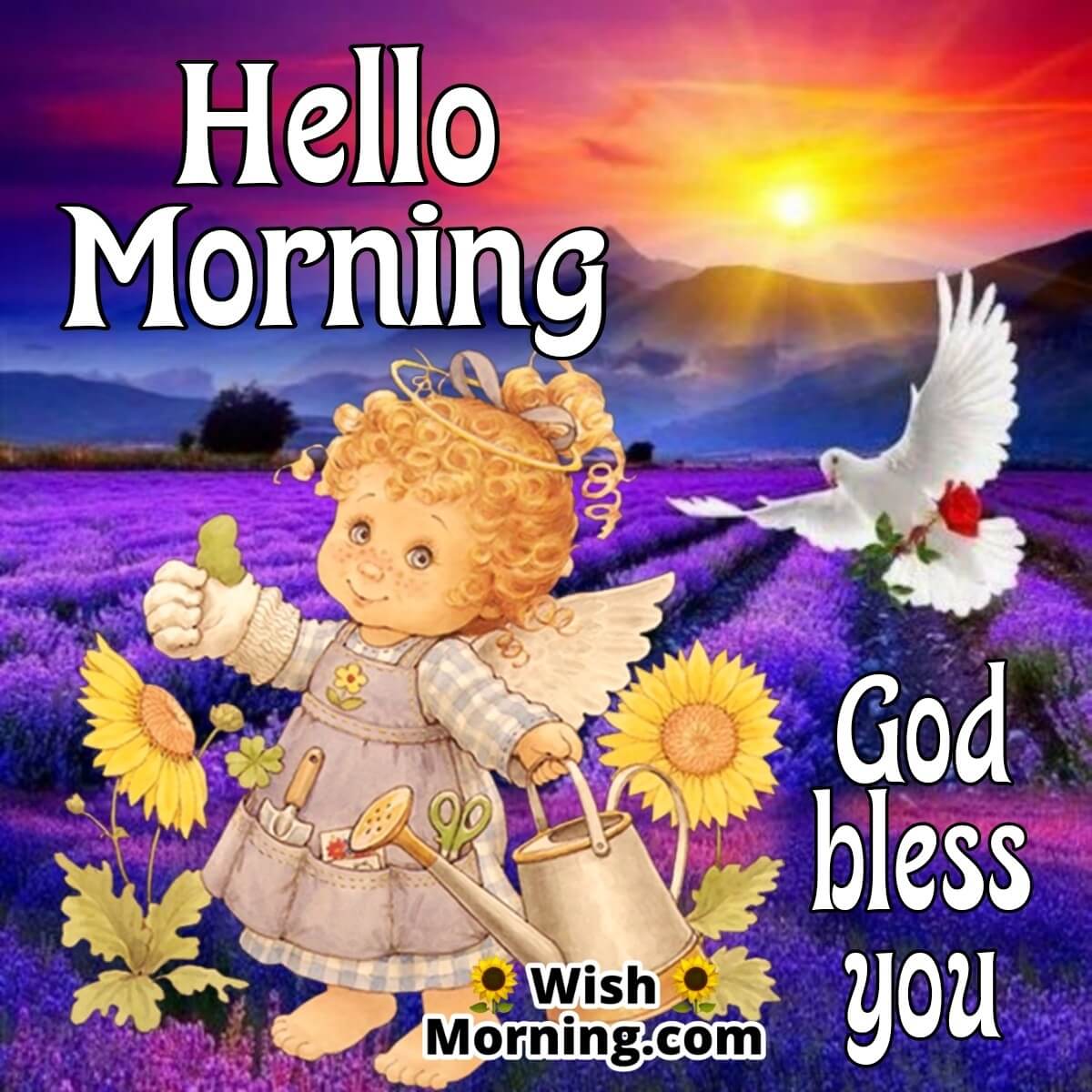 Hello Morning Angel Image