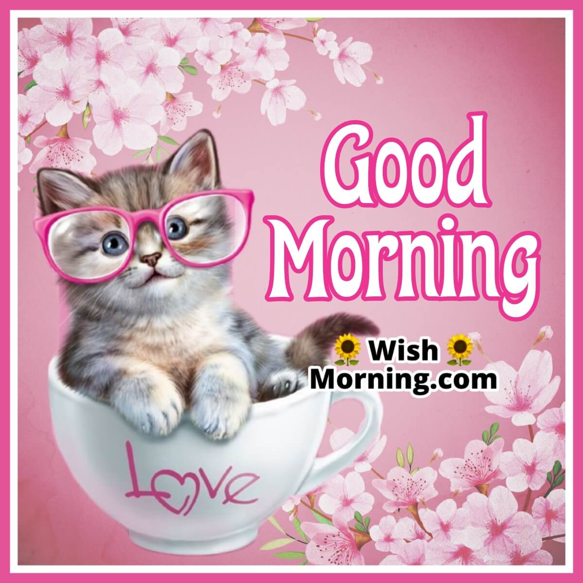 Morning Kitty Card