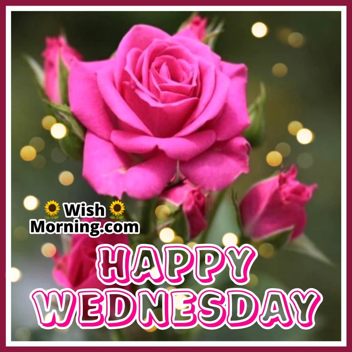 Wednesday Morning Greetings