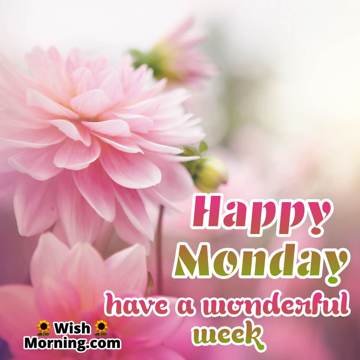 Wonderful Monday Wish