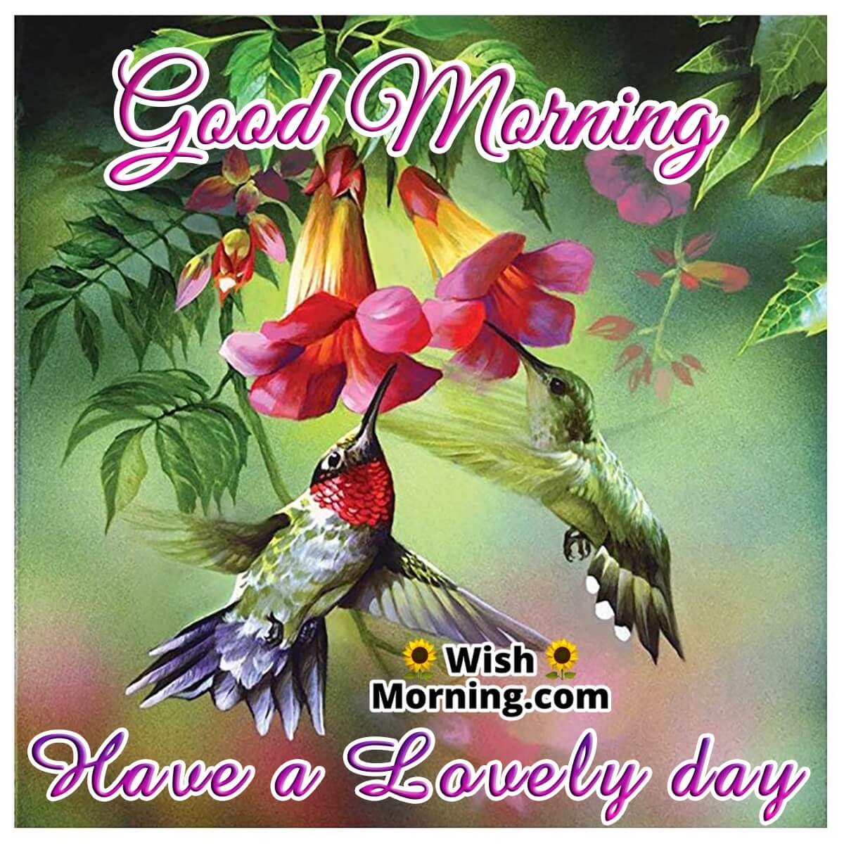 Good Morning Birds Picture