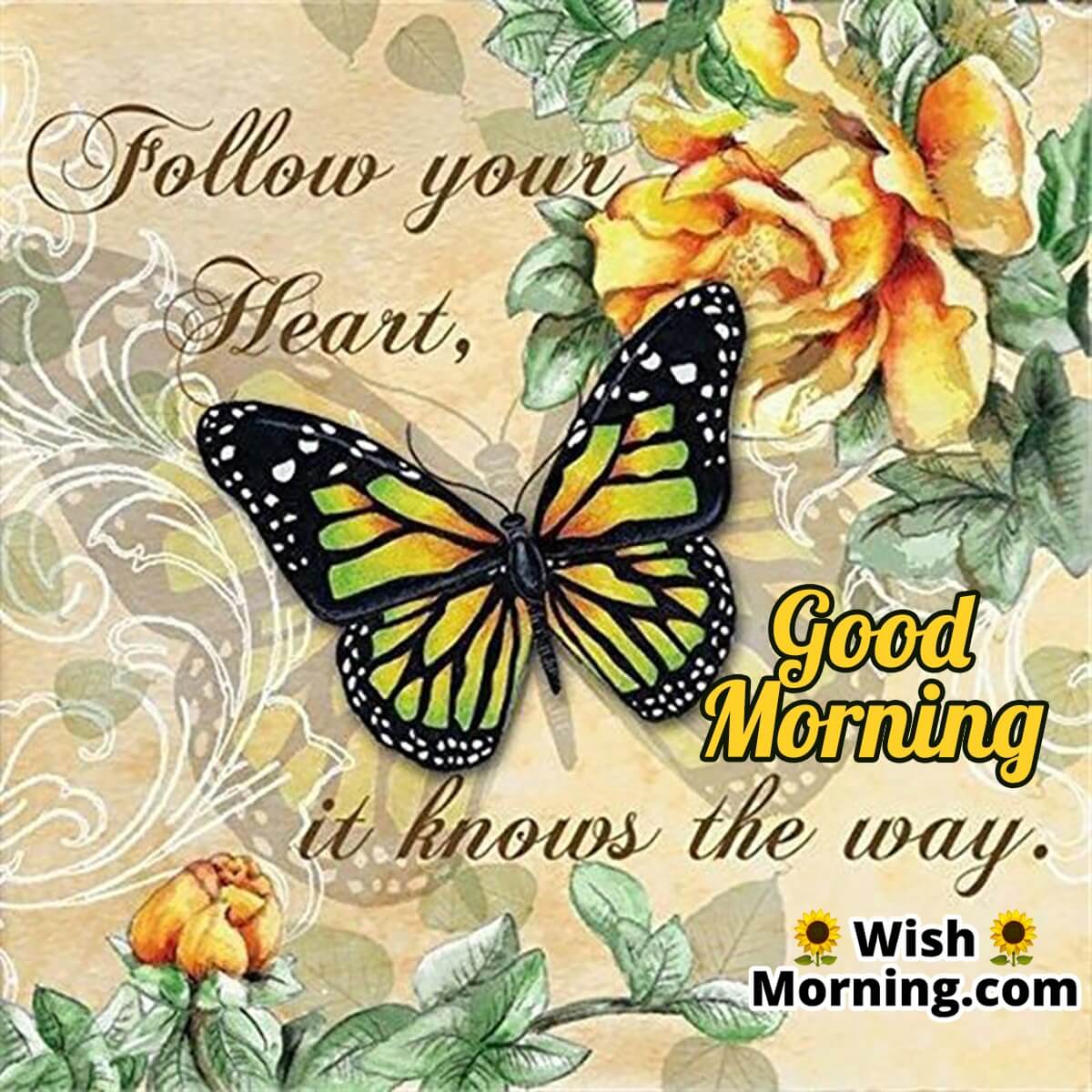 Good Morning Butterfly Image