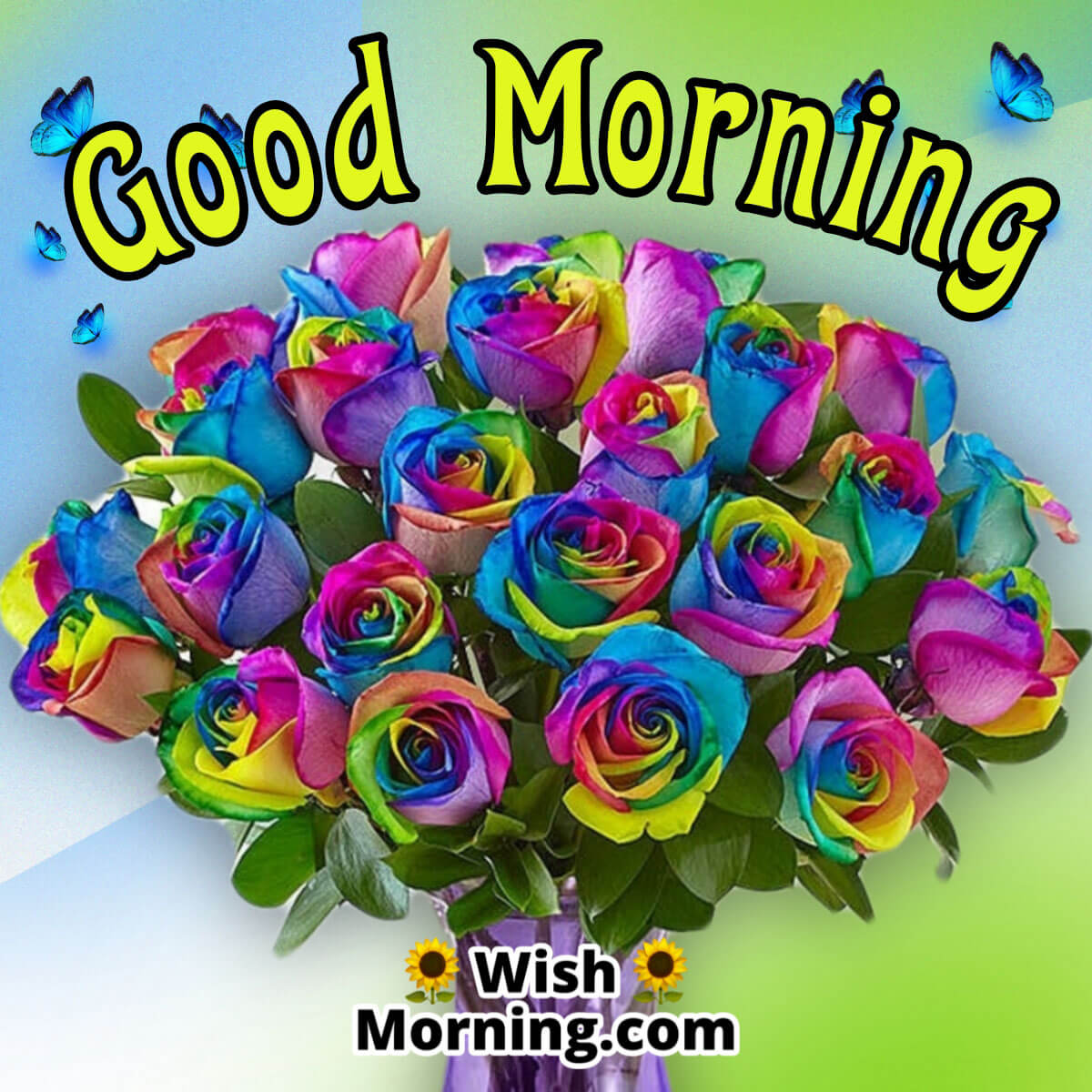Good Morning Colourful Roses
