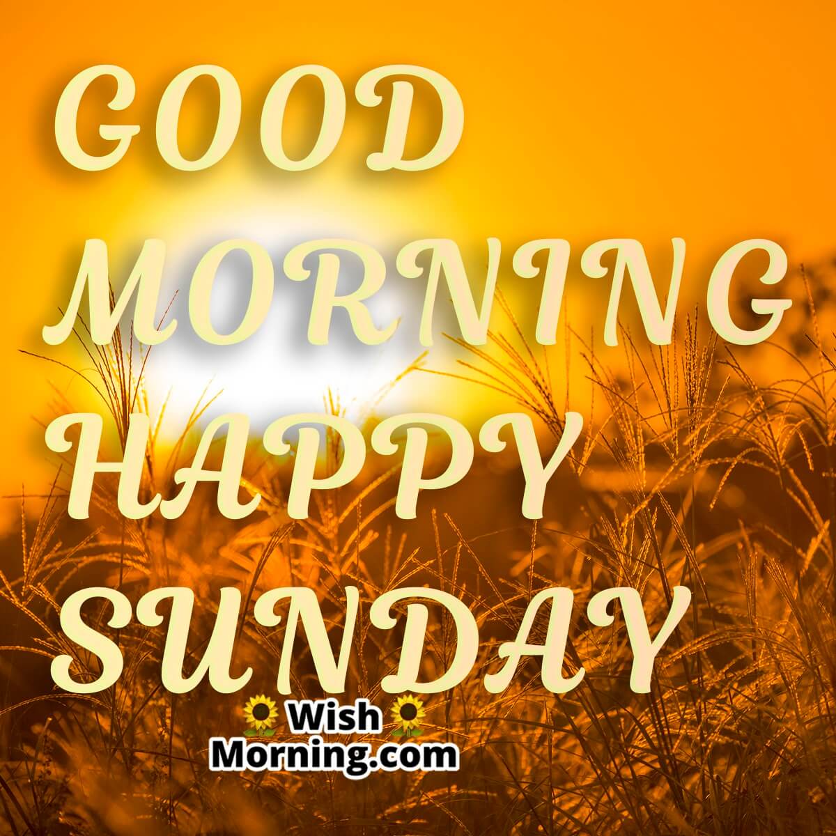 Good Morning Happy Sunday Morning