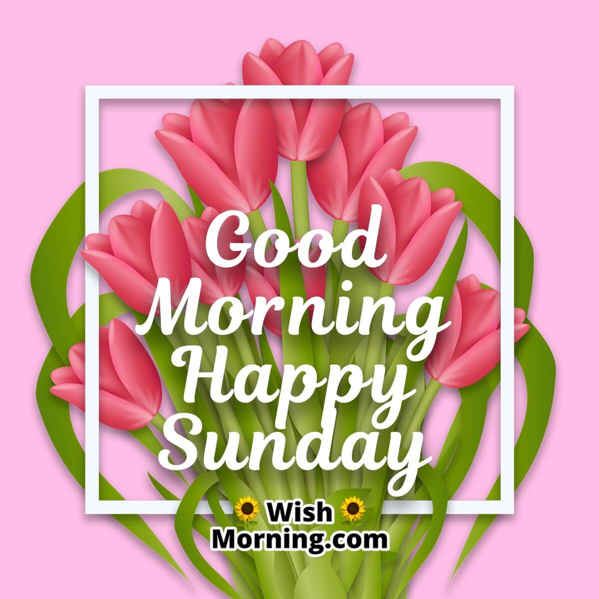 Good Morning Happy Sunday