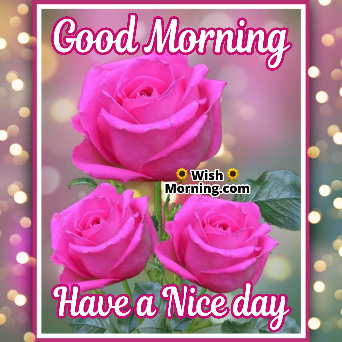 Good Morning Rose Flowers Image