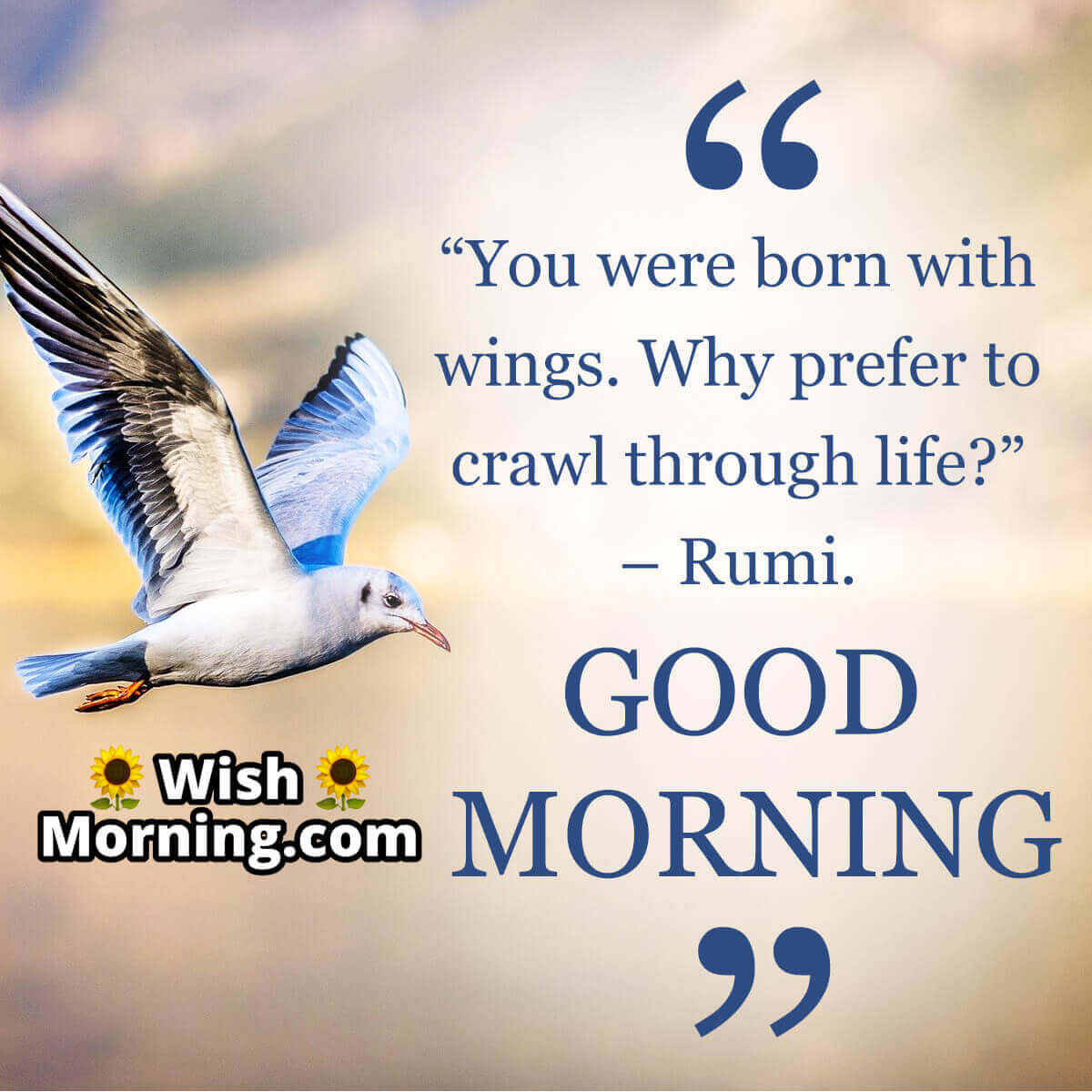 Good Morning Rumi Image