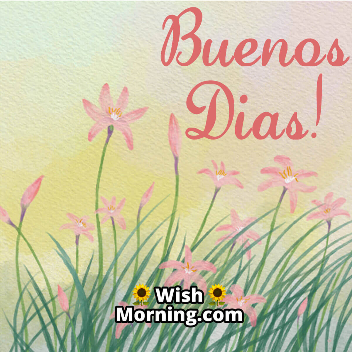 Good Morning Spanish Pictures