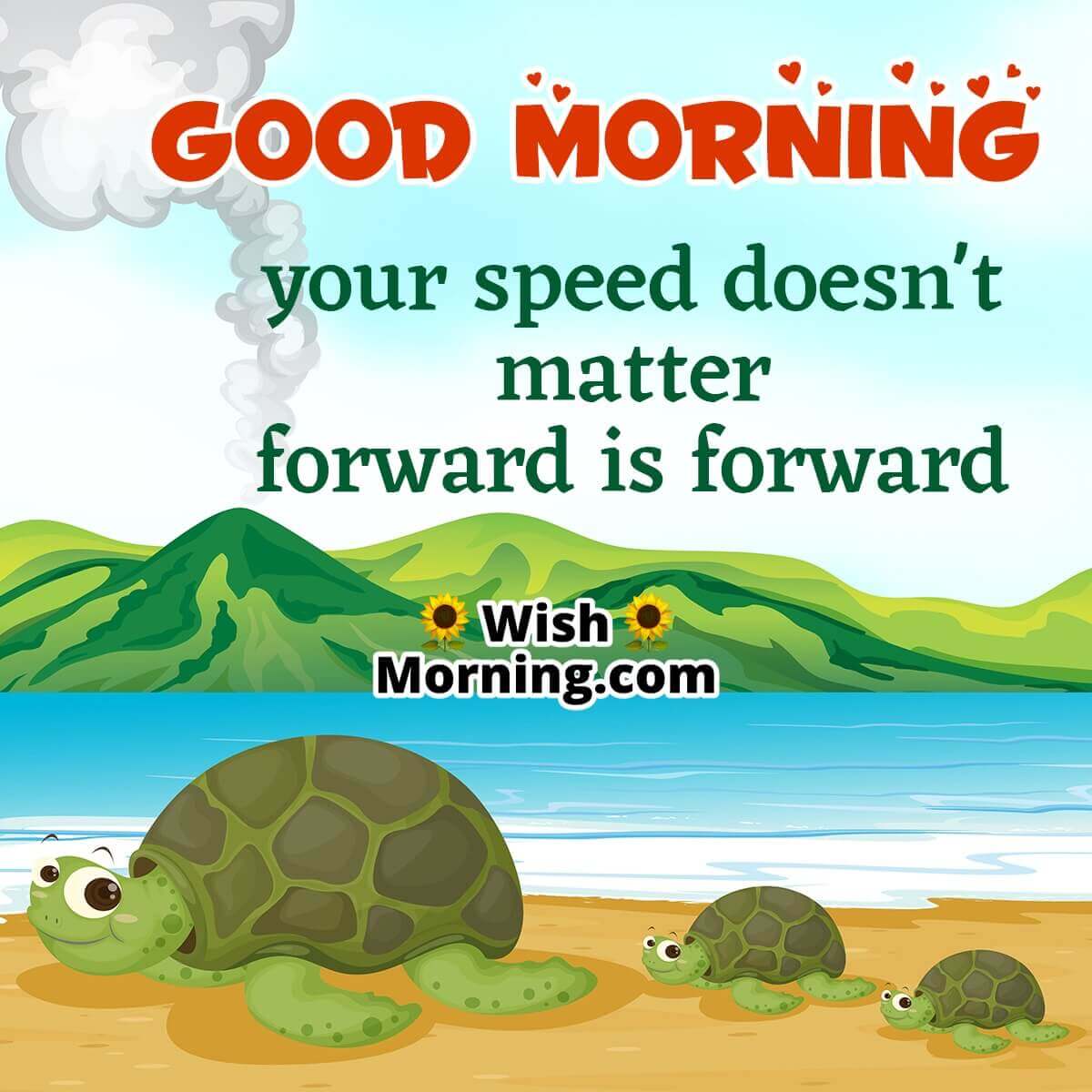 Good Morning Tortoise Message