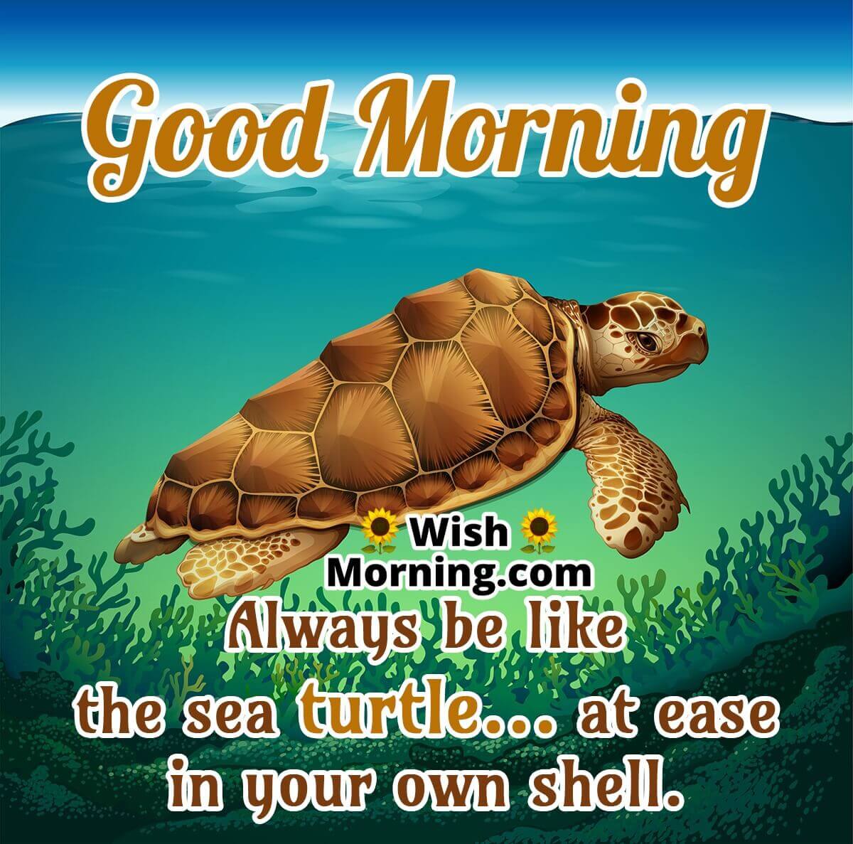Good Morning Turtle Image