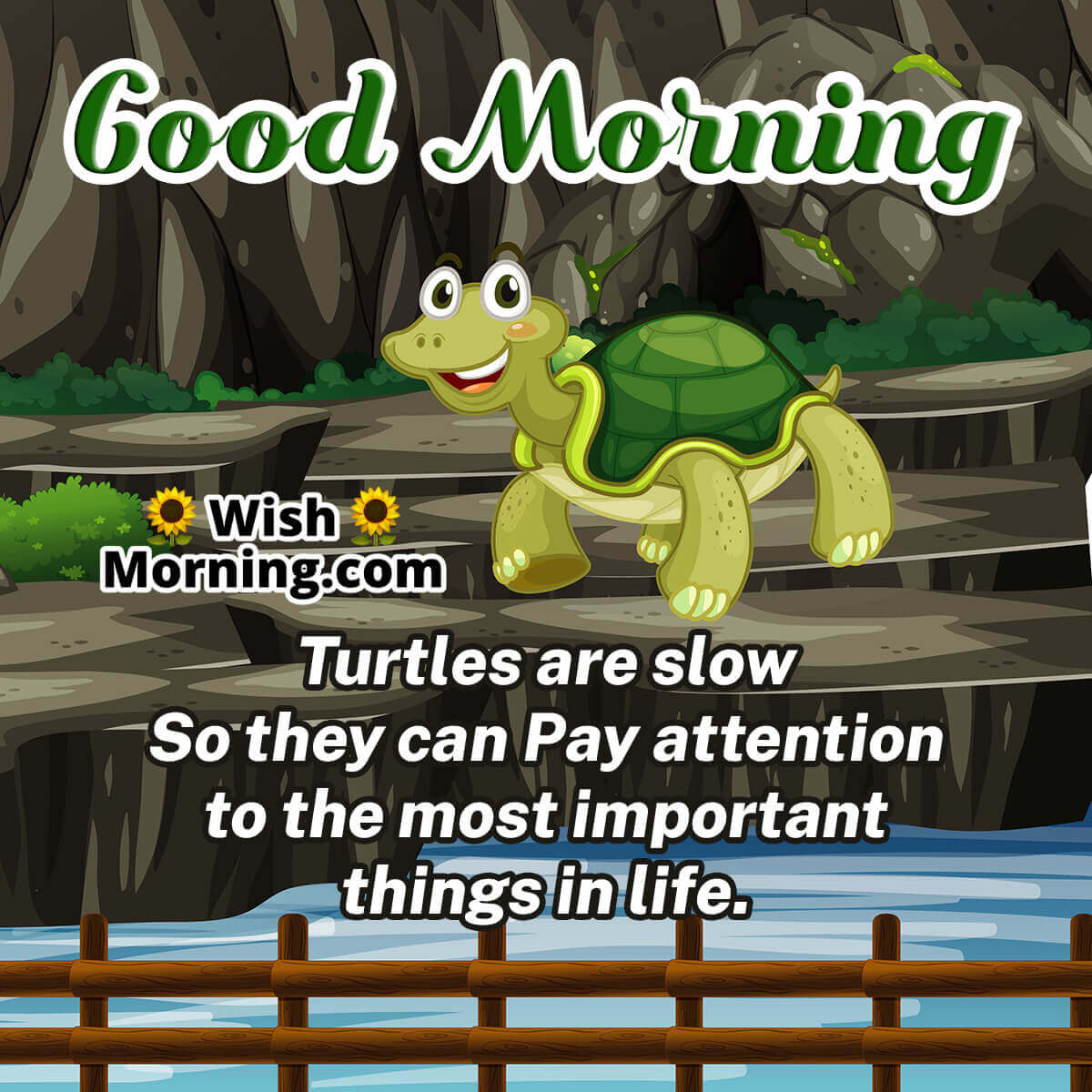 Good Morning Turtle Quote