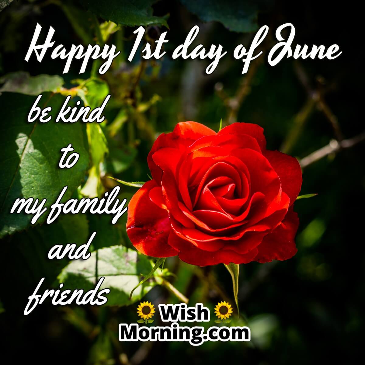 Happy 1st day of June