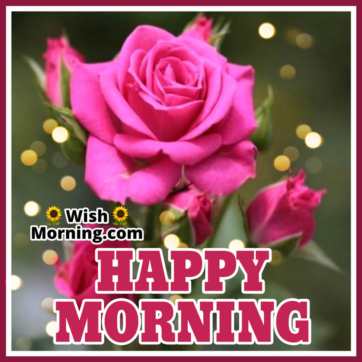 Happy Morning Wish With Rose Flower