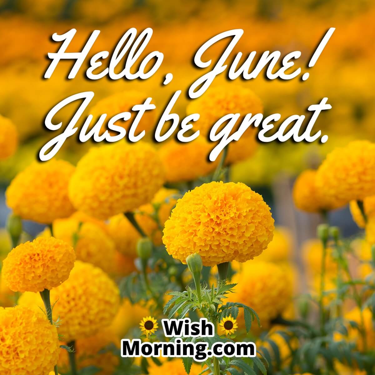 Hello, June! Just be great.
