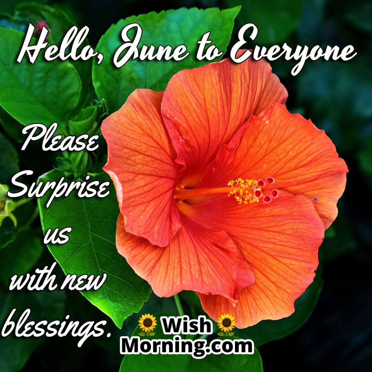 Hello, June to everyone
