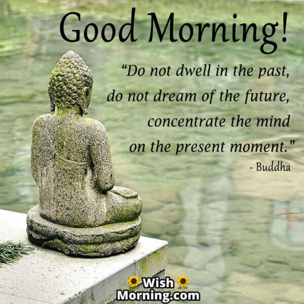 Awaken the Day with Buddha Quotes for a Mindful Morning Wish Morning