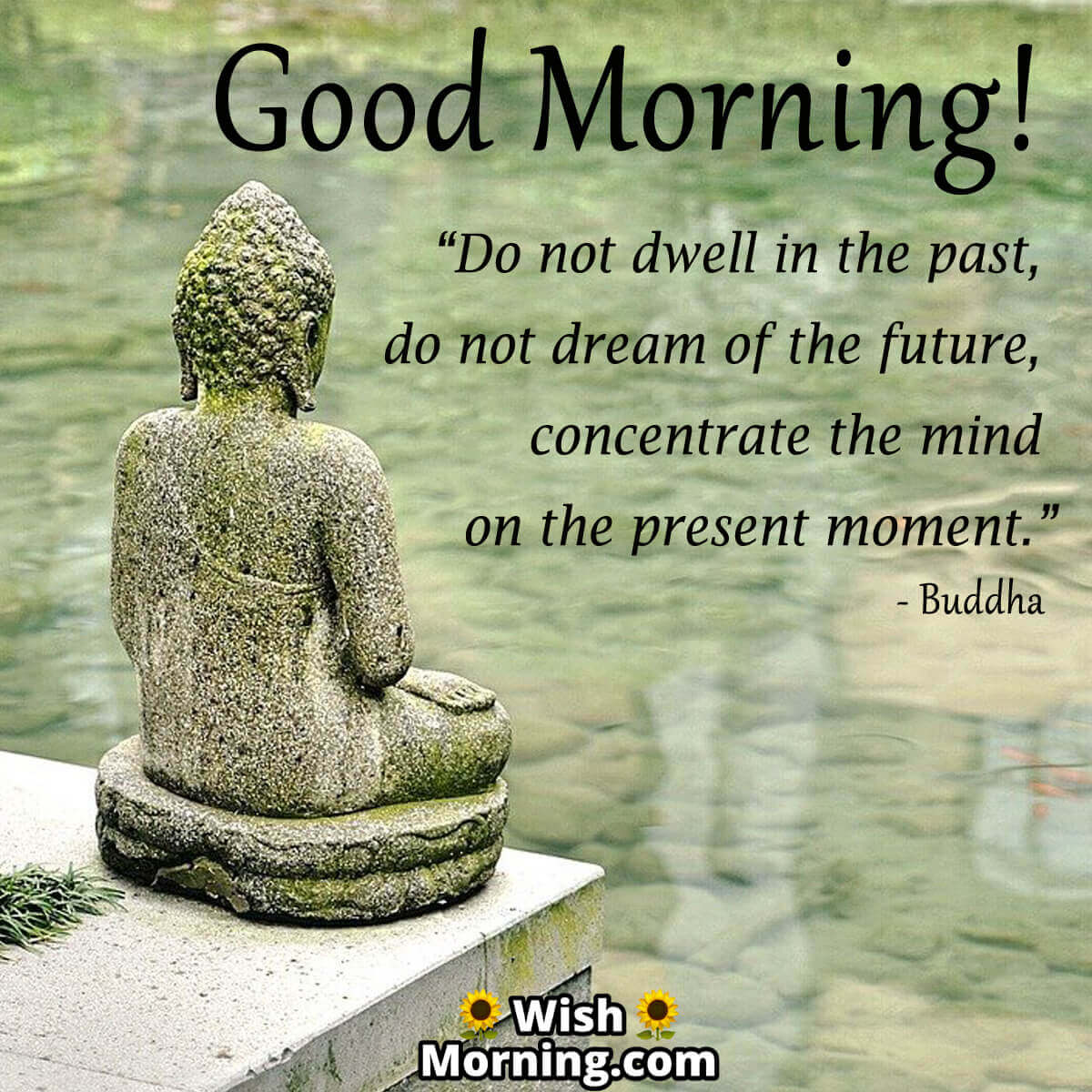 Morning Buddha Messages