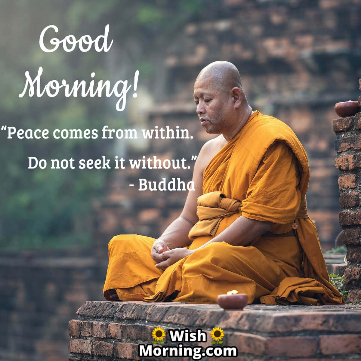 Morning Buddha Quotes