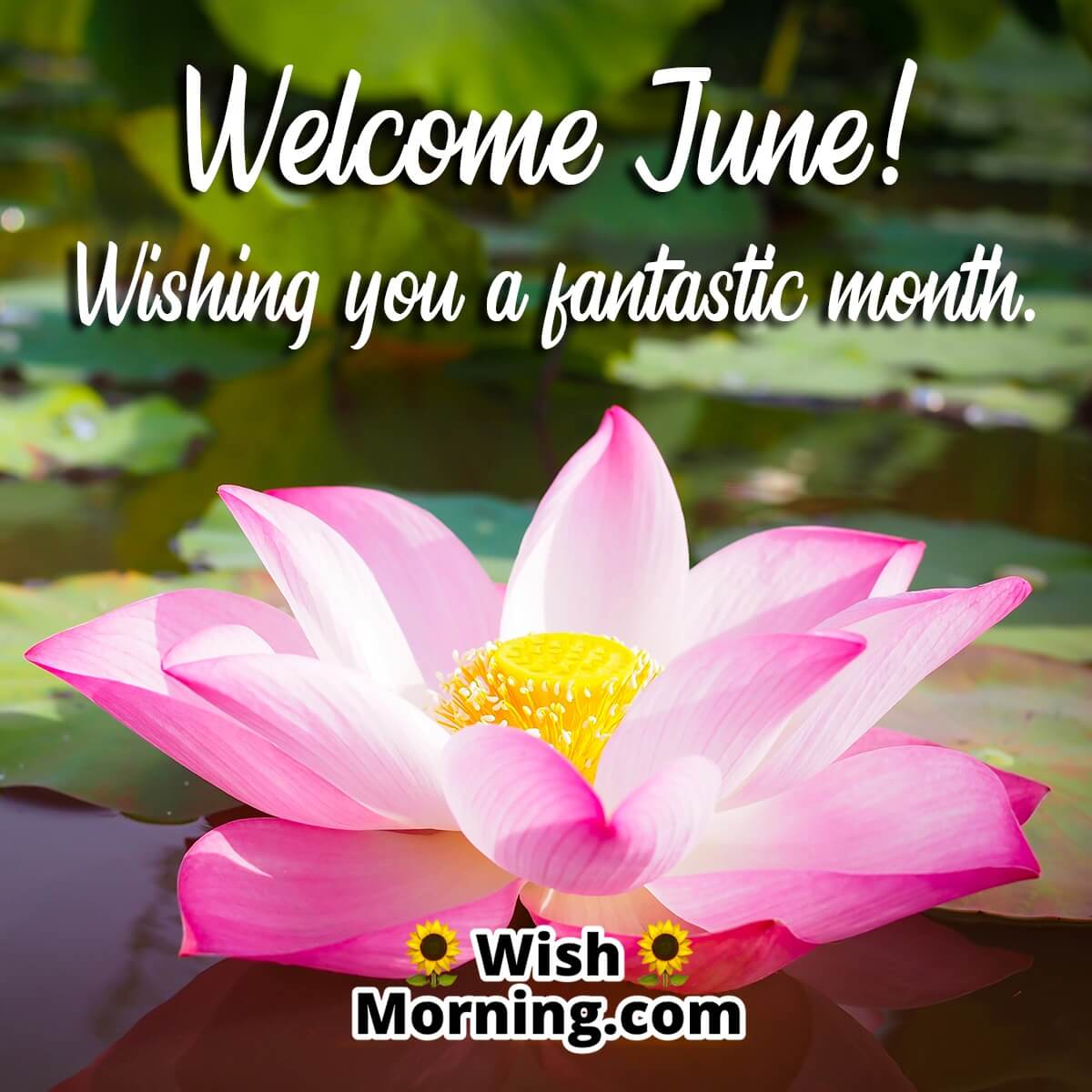 Welcome June! Wishing you a fantastic month