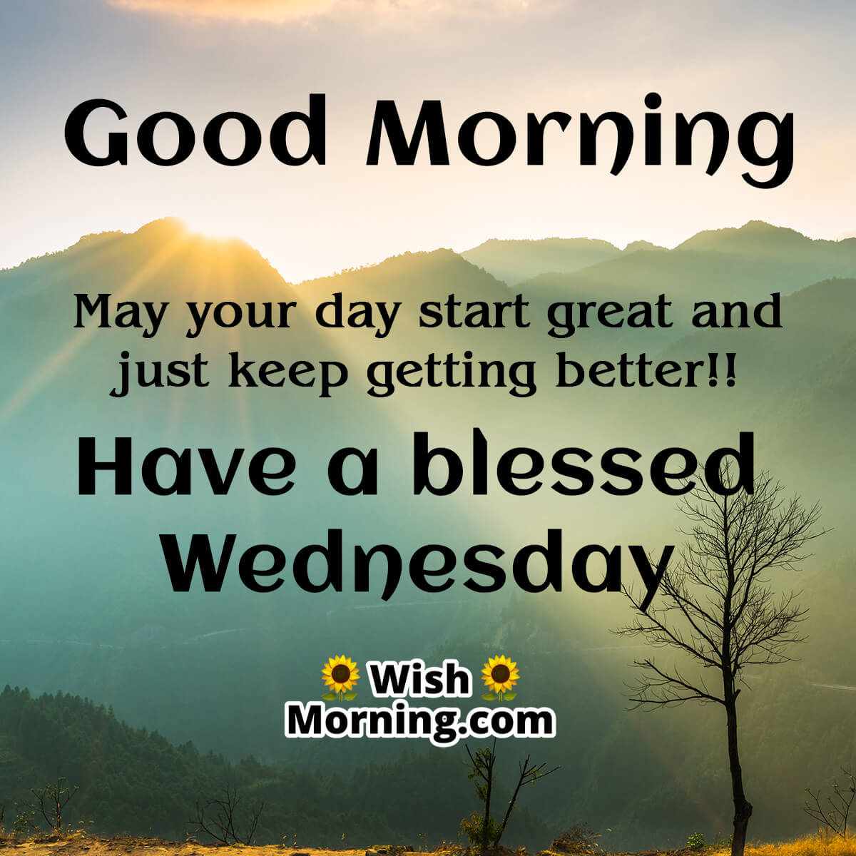 Good Morning Have A Blessed Wednesday Wish