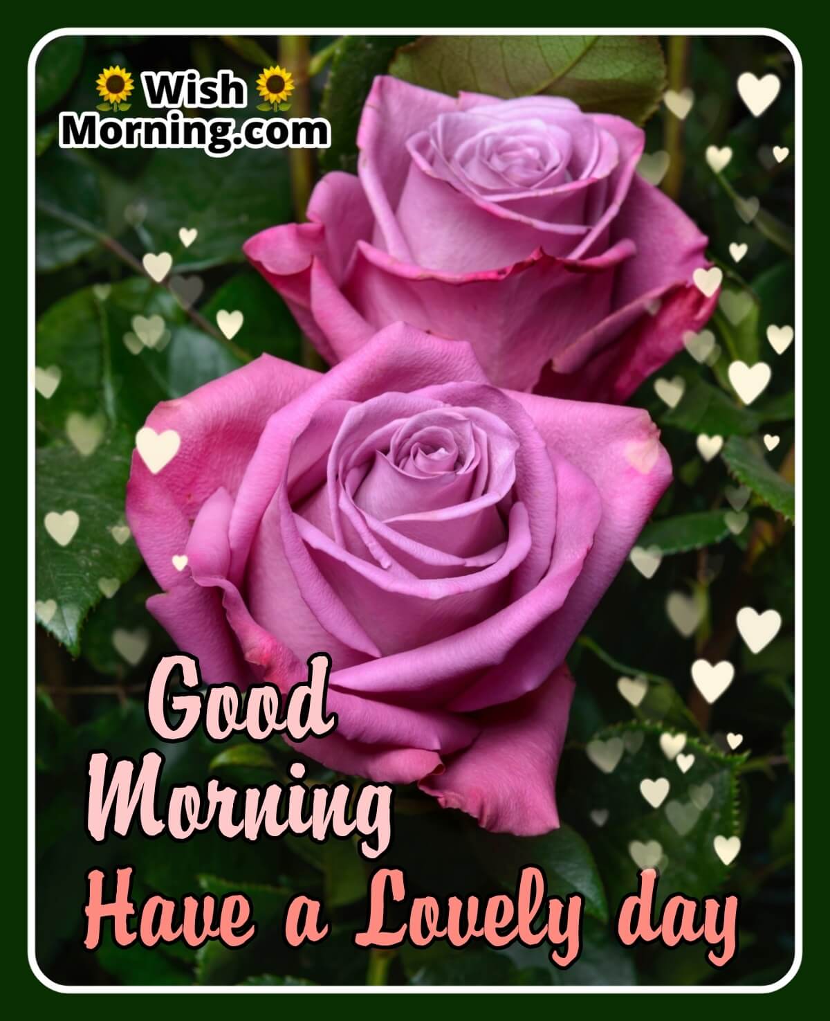 Good Morning Wishes With Rose Flower - Wish Morning