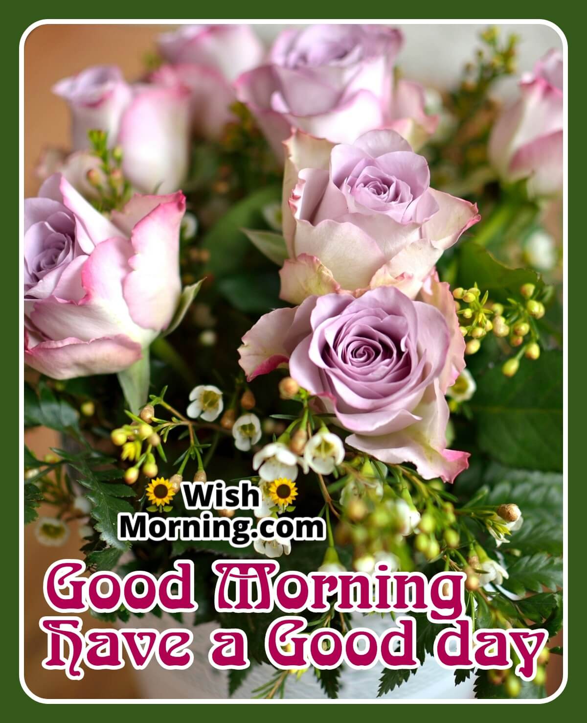 Good Morning Rose Flowers Image
