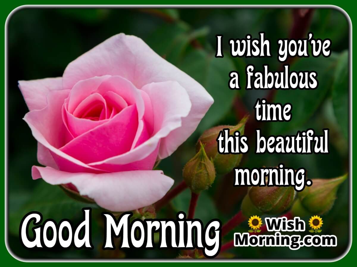 Good Morning Wish With Rose