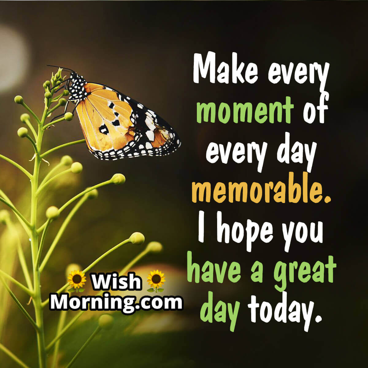 Great Day Wishes - Wish Morning