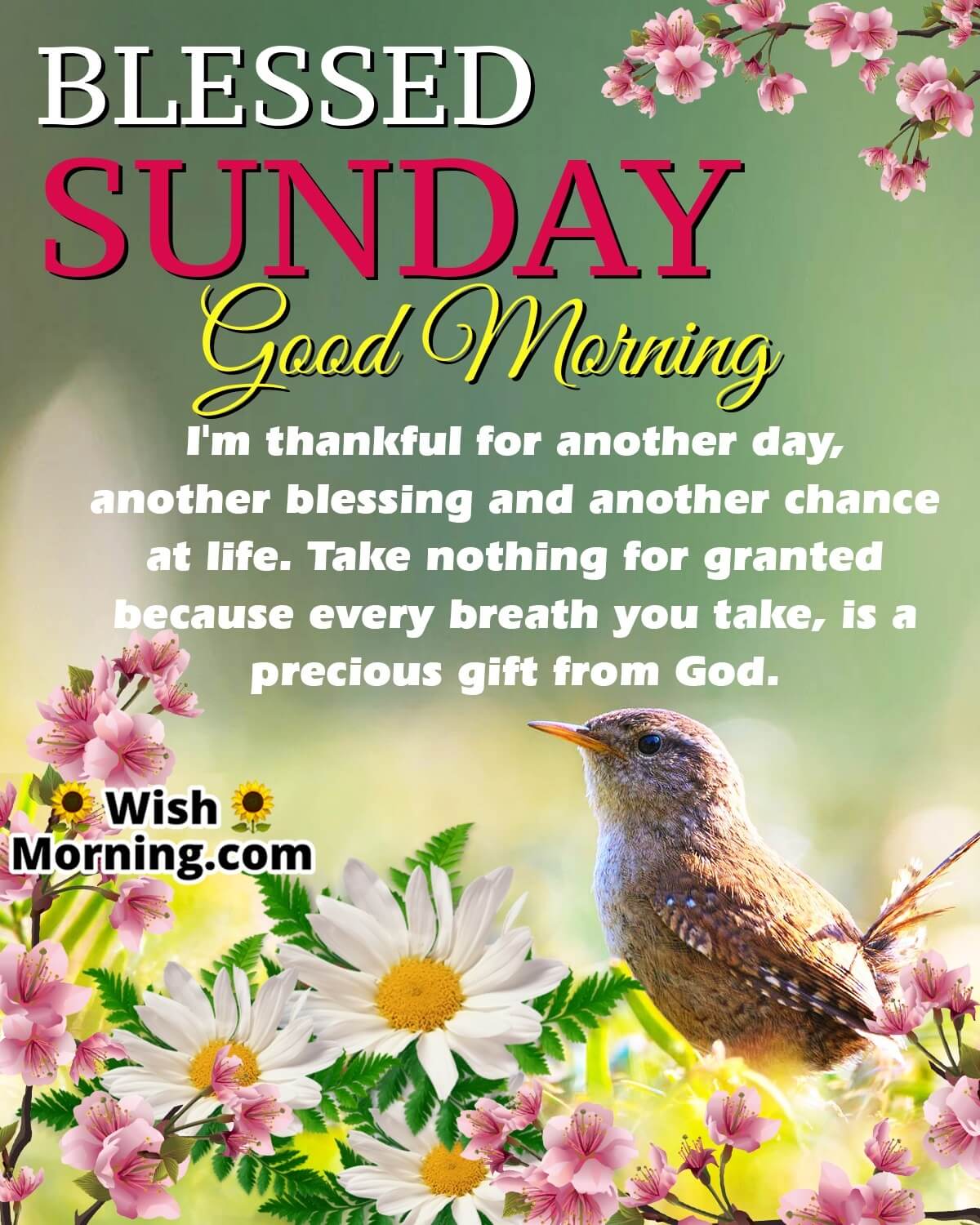 Blessed Sunday Good Morning