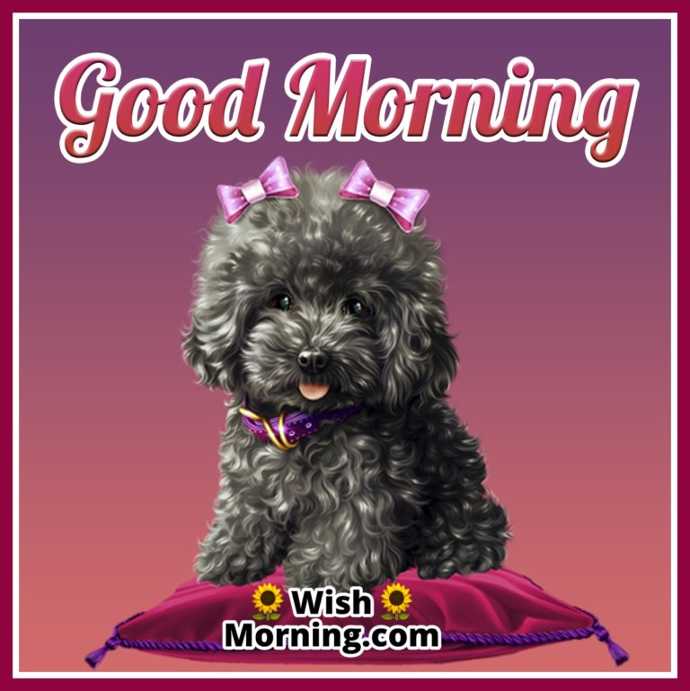 Good Morning Dog Images for a Joyful Start - Wish Morning