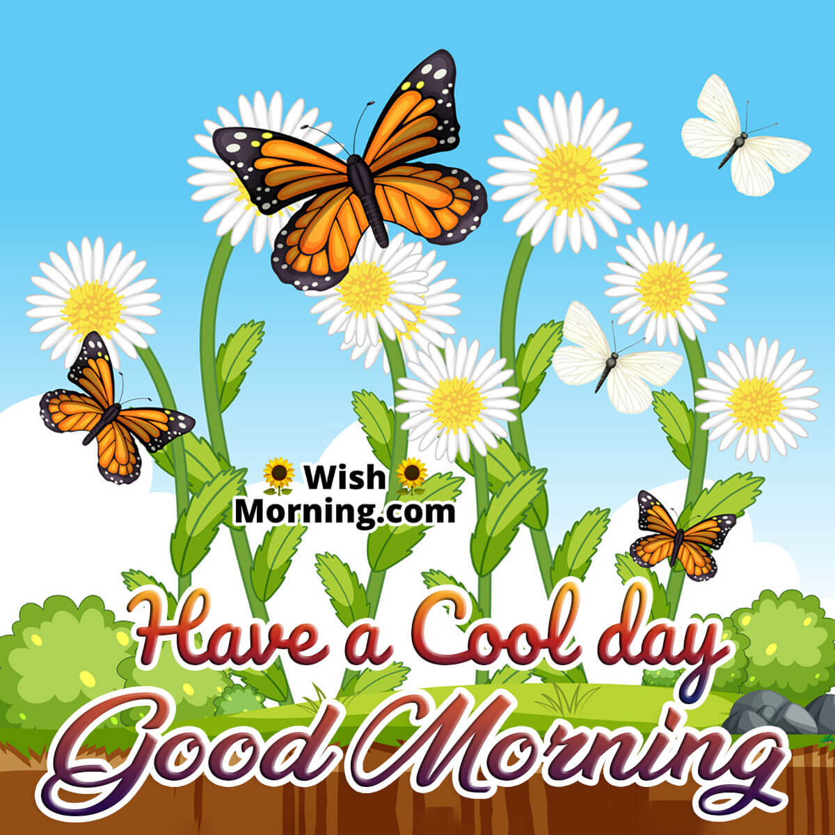 Good Morning Have a Cool day