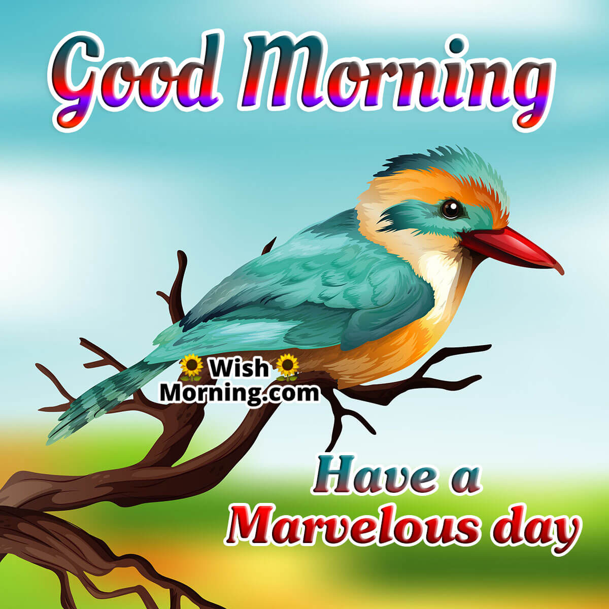 Good Morning Have a Marvelous day