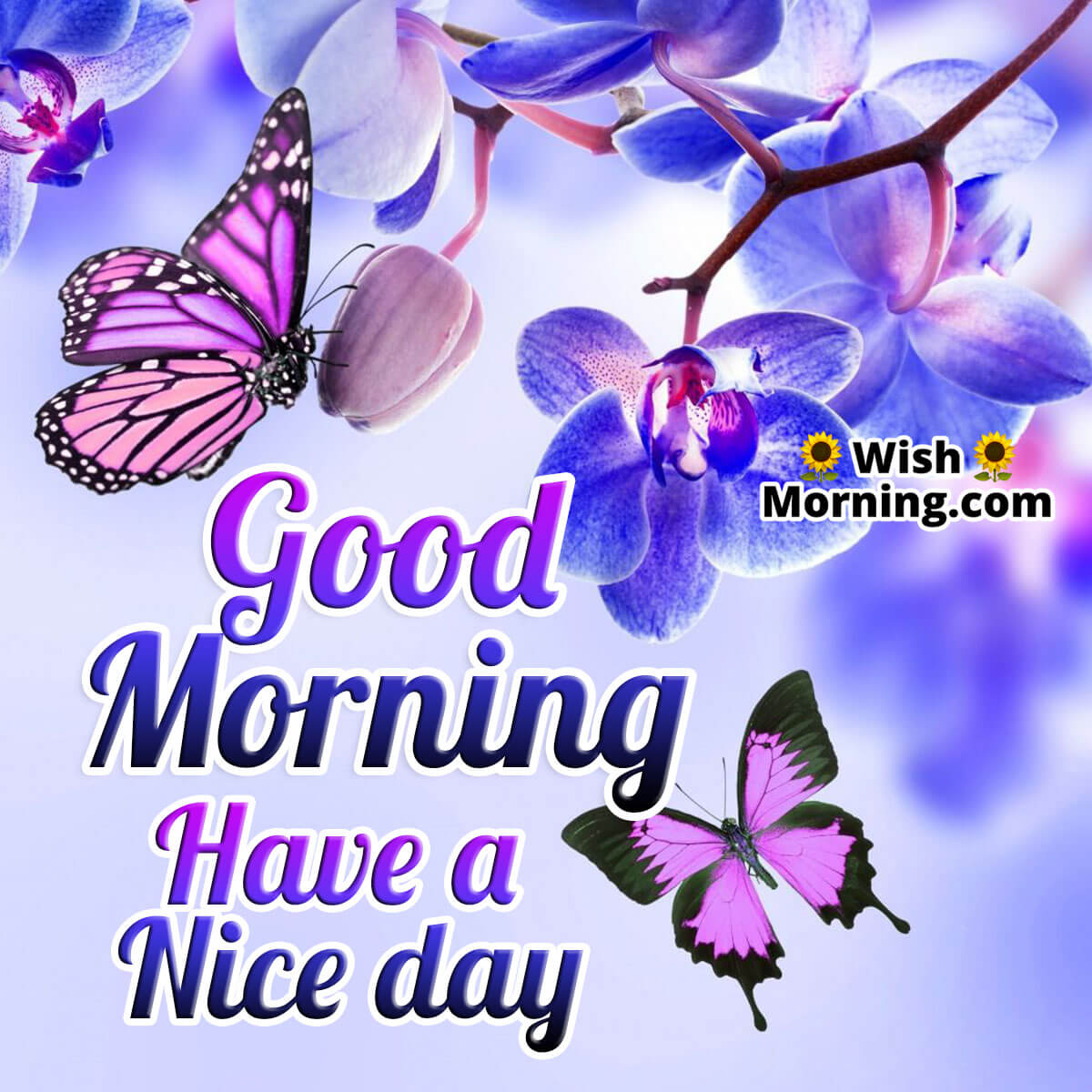 Good Morning Have A Nice Day