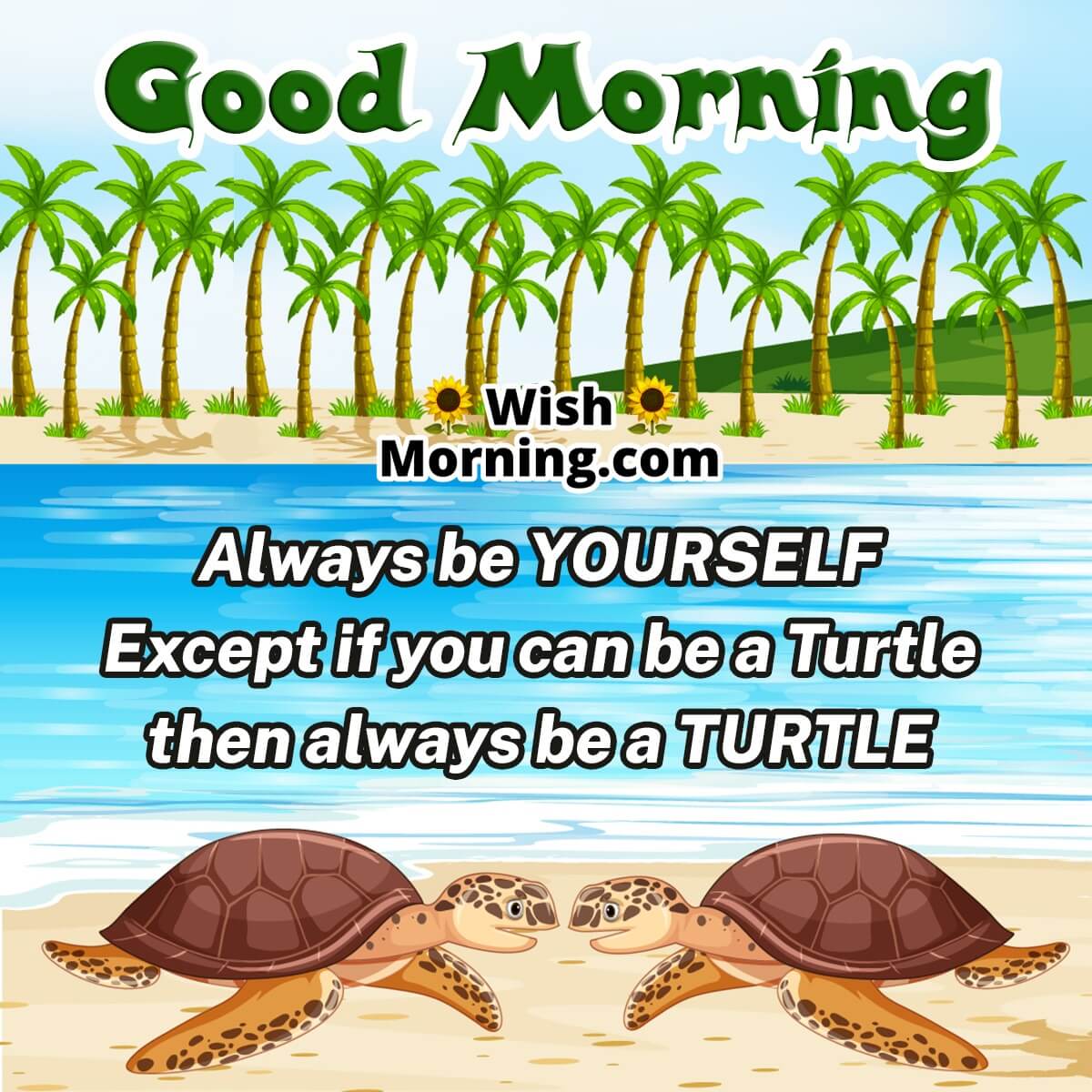 Good Morning Turtle Message