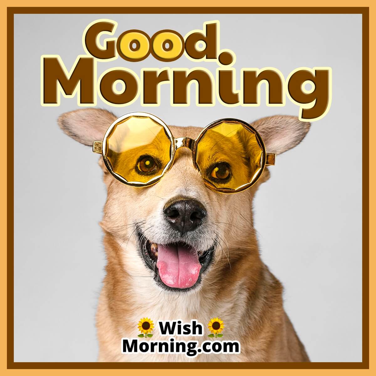 Good Morning – Funny Dog Image