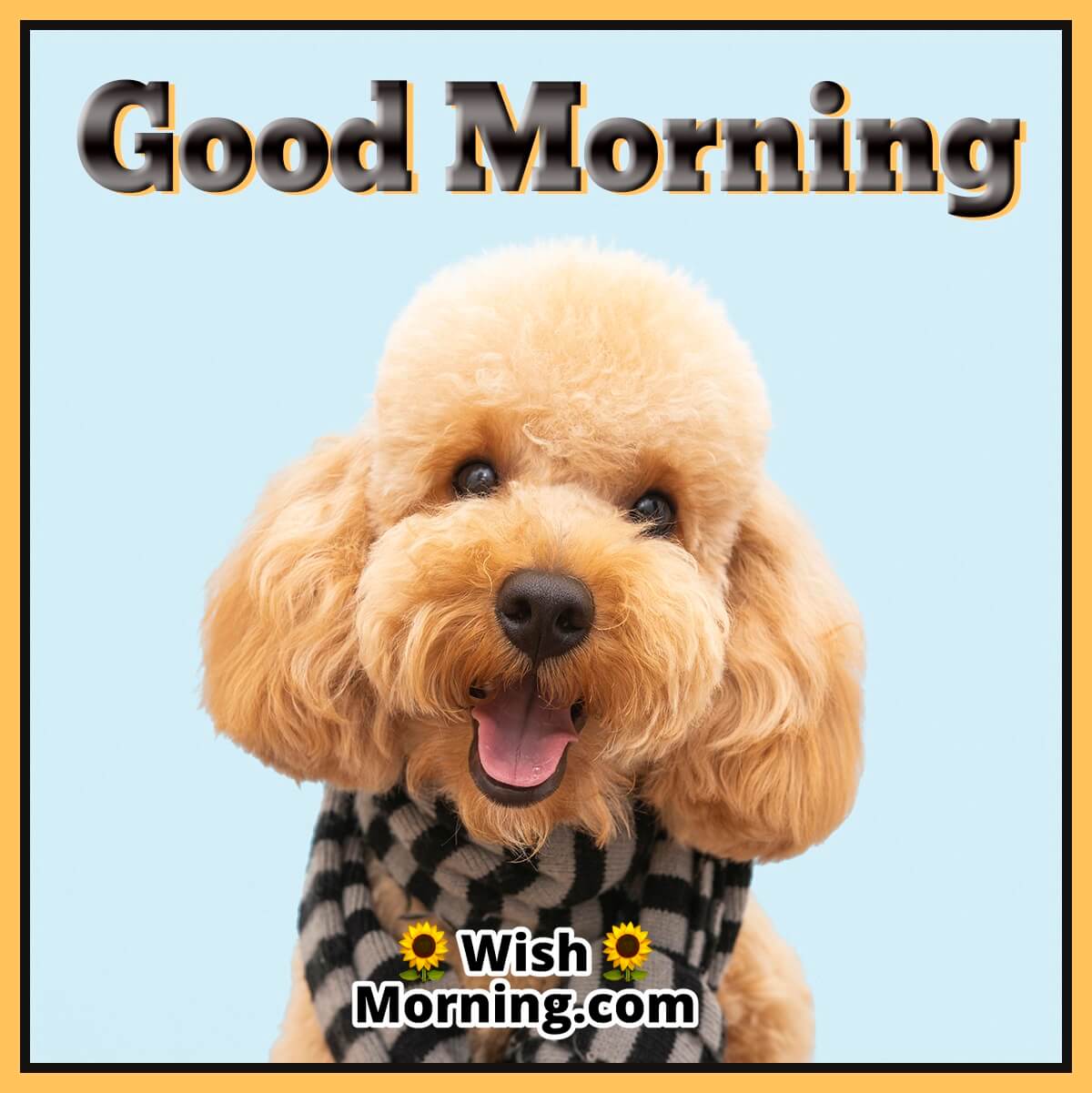 Good Morning – Puppy Image