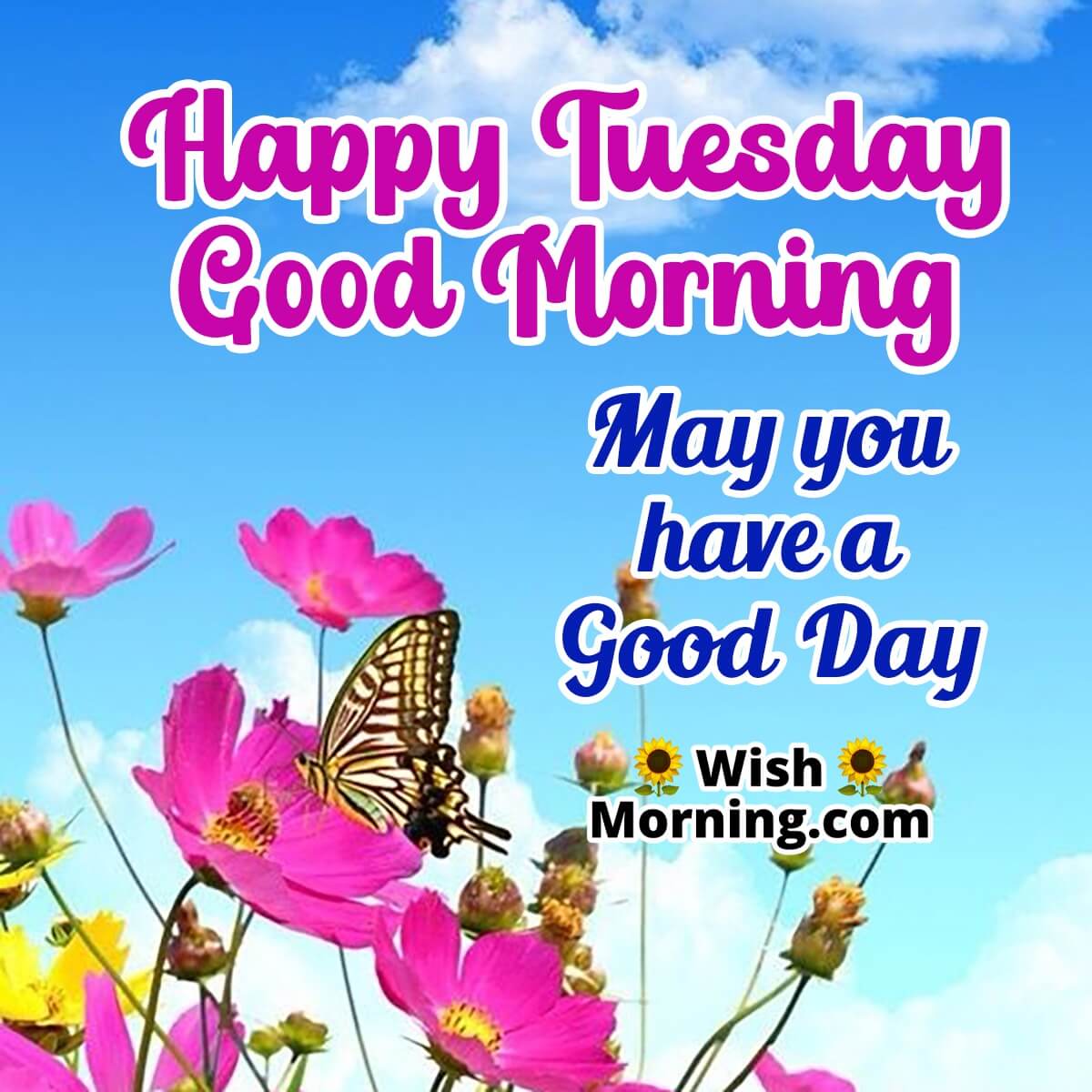 Happy Tuesday Good Morning Good Day