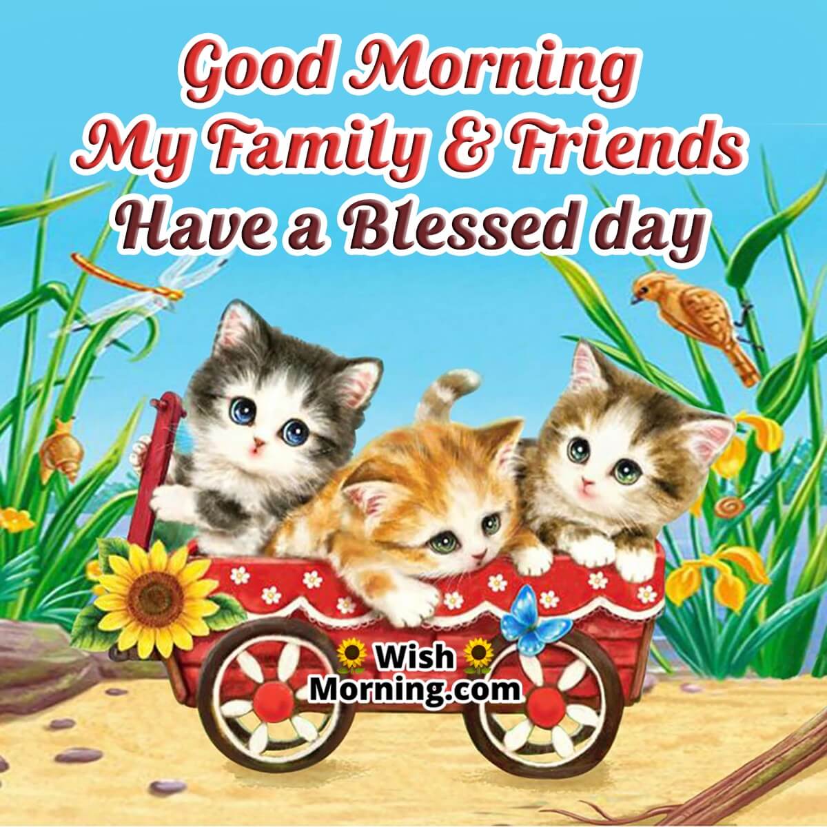 Good Morning Cat Cards - Wish Morning