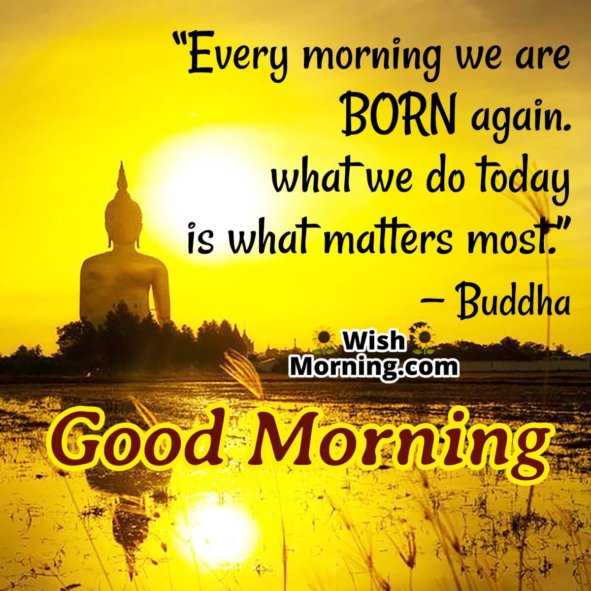 Good Morning Buddha Quotes - Wish Morning