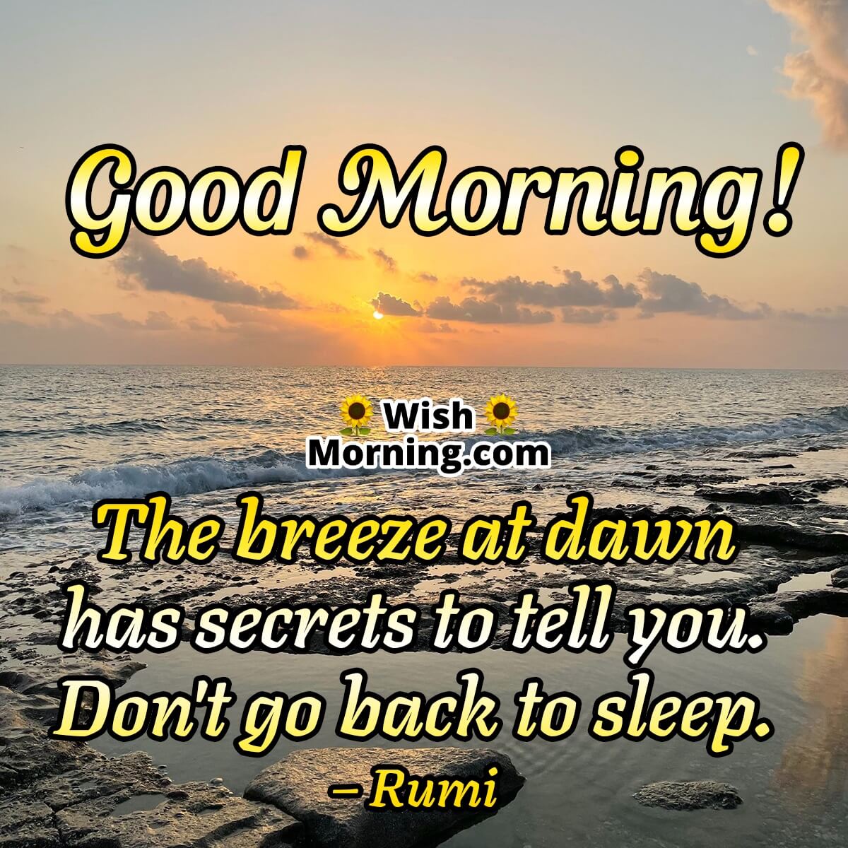 Good Morning Rumi Photo